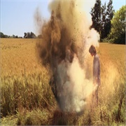 Smallville: "Subterranean" (S6,E9)