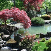 Lake Sacajawea Park Japanese Gardens, Longview, WA