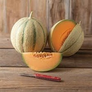 Cantaloupe Melon