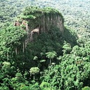 Monts De Cristal National Park, Gabon