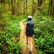 Hiking in Pacific NW