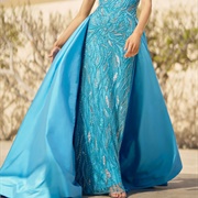 Detachable Train on Back of Dress