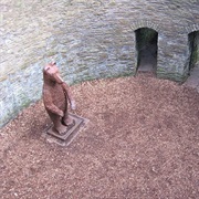 Sheffield Botanical Gardens Bear Pit