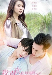 I Like You, Do You Know? (2016)