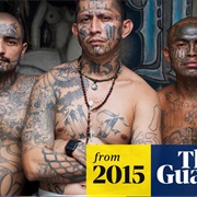 MS-13