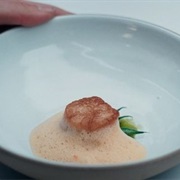 S4.E3: Scallop