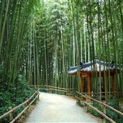 Damyang, South Korea