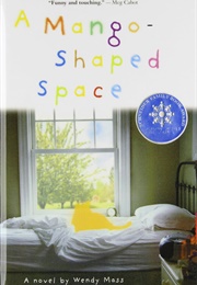 A Mango-Shaped Space (Wendy Mass)