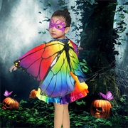 Butterfly Costume