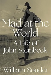 Mad at the World (Souder)