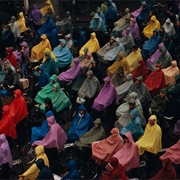 Cyclists in the Rain (Stuart Franklin)