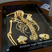 Bristol Museum Archeology Collection