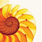 Easily Misunderstood (The Samuel Jackson Five, 2005)