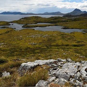 Cabo De Hornos Biosphere Reserve, Chile