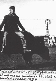 One Man's Voice: The Donald Hartwell Diary (Hartwell, Donald)