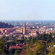 Cesena