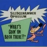 S1.E42: Sledgehammer O'possum: What's Going on Back There?