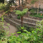 Zoro Garden, San Diego