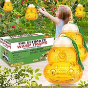 Outdoor Wasp Traps