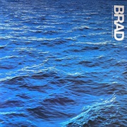 Brad- In the Moment Your Born