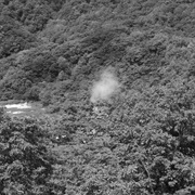 Taquwami - 31 (2019)