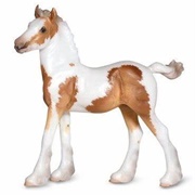 Vanner Foal