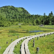 Shiga Highland Biosphere Reserve, Japan