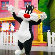 Sylvester