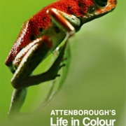 Attenboroughs Life in Colour (2021)