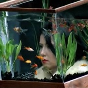 Lying Is the Most Fun a Girl Can Have Without Taking Her Clothes off - Panic! at the Disco