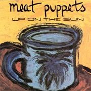 Meat Puppets - Up on the Sun (1985)
