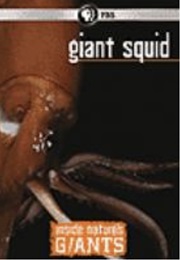 Giant Squid (2012)
