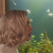 S2.E5: Jeg Er I Hvert Fall Ikke Sjalu