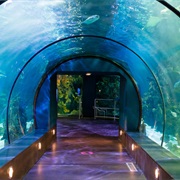 Moody Gardens Rainforest and Aquarium