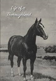 Life of a Thoroughbred (1941)