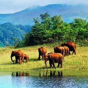 Agasthyamala Biosphere Reserve, India
