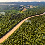 Cayenne River, French Guiana