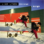 Liam Lynch - United States of Whatever