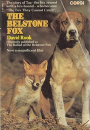 The Ballad of the Belstone Fox: A Novel (David Rook)
