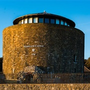 Sandgate Castle