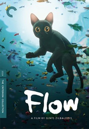 Flow (2024)