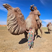 Camel Caravan Flaming Cliffs