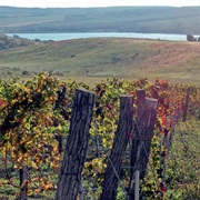 Burgenländische Weingüter, Österreich