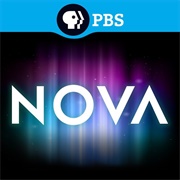 Nova (1974)