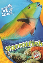 Parrotfish (Ocean Life Up Close) (Mari Schuh)