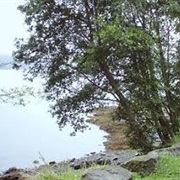 Refuge Cove State Recreation Site