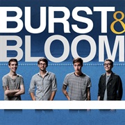 Burst & Bloom