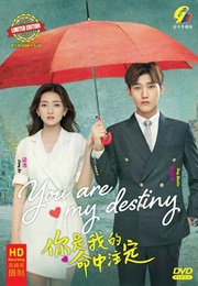 You Are My Destiny (China) (2020)