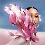 Where the Butterflies Go in the Rain (Raveena, 2024)