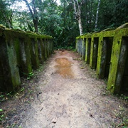 Montsinery, French Guiana